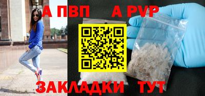 сатива Можга
