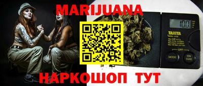 сатива Можга