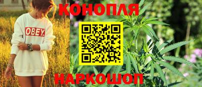 ГАЛЛЮЦИНОГЕННЫЕ ГРИБЫ Моздок