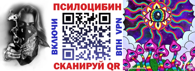 Псилоцибиновые грибы Psilocybe  Борзя 