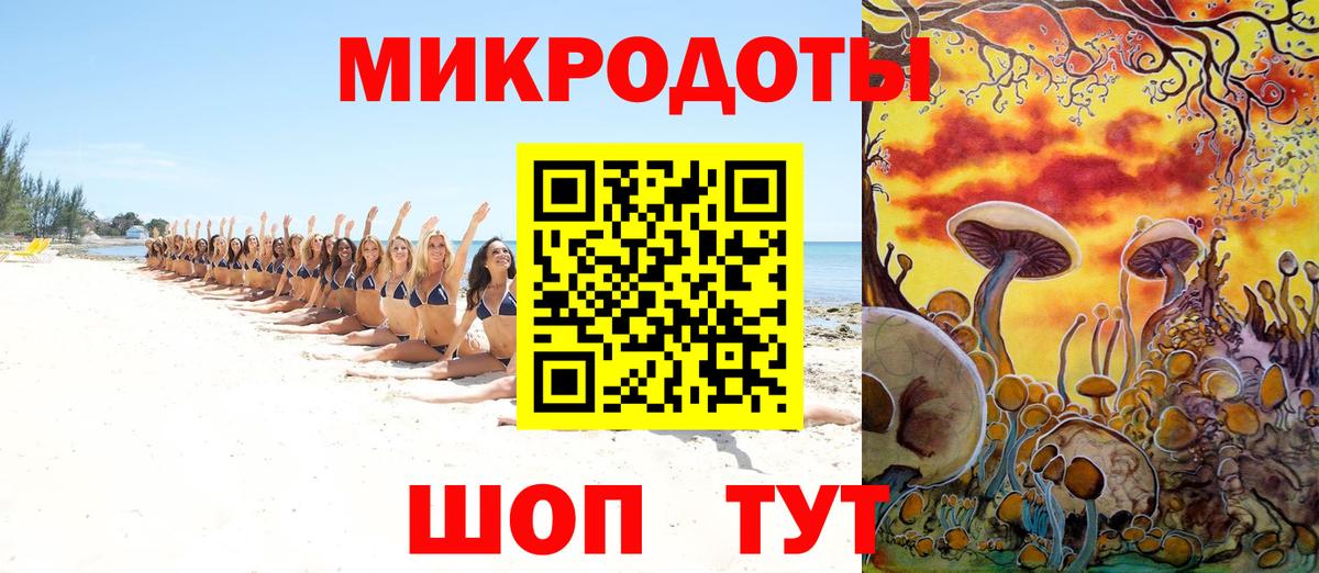 Псилоцибиновые грибы GOLDEN TEACHER Борзя