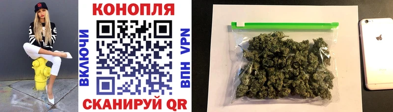 купить наркотики цена  Борзя  Бошки марихуана OG Kush 
